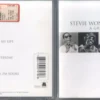 Stevie Wonder Song Review