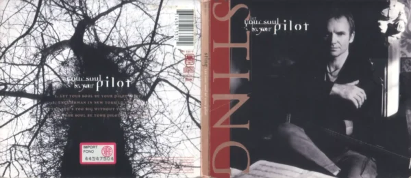 Sting Let Your Soul be Your Pilot