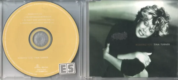 Tina Turner Missing You