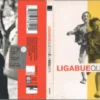 Ligabue Questa è La Mia Vita