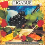 Ligabue Lambrusco Coltelli Rose e Popcorn