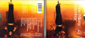 Robbie Williams Escapology