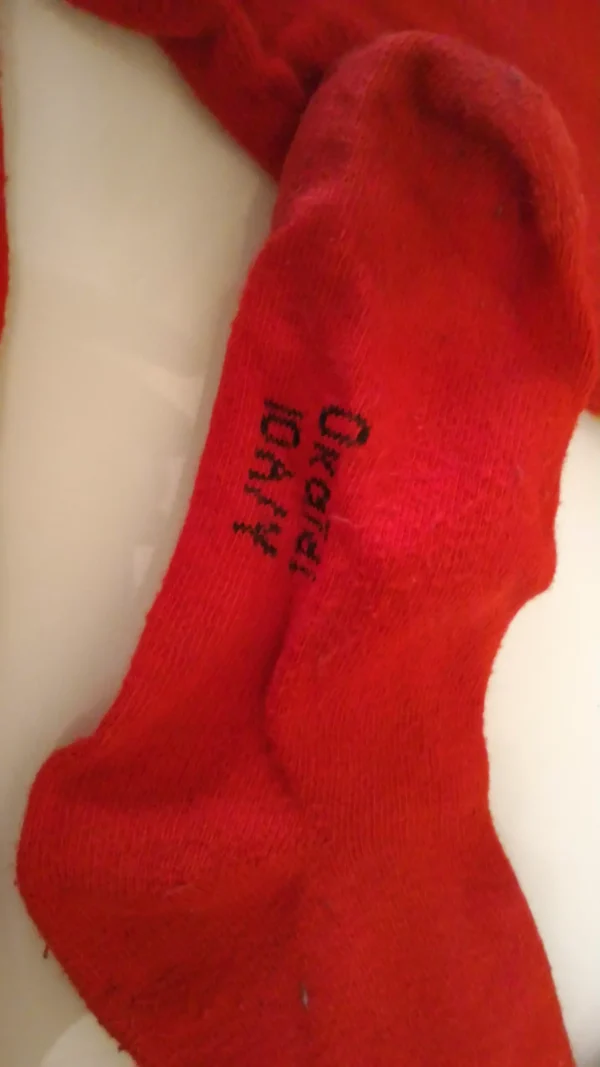 P_20170508_163508 Completo Lana