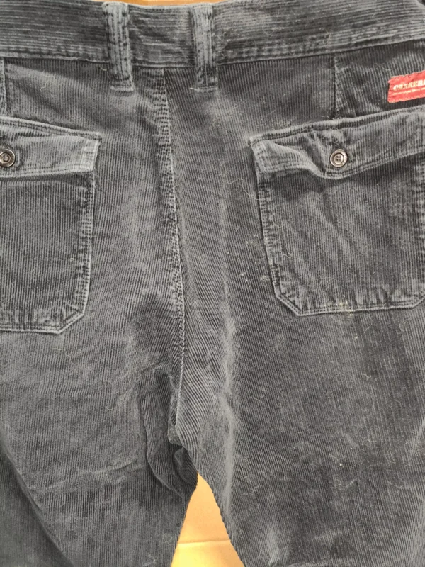 IMG20240706120233 Pantalone Velluto